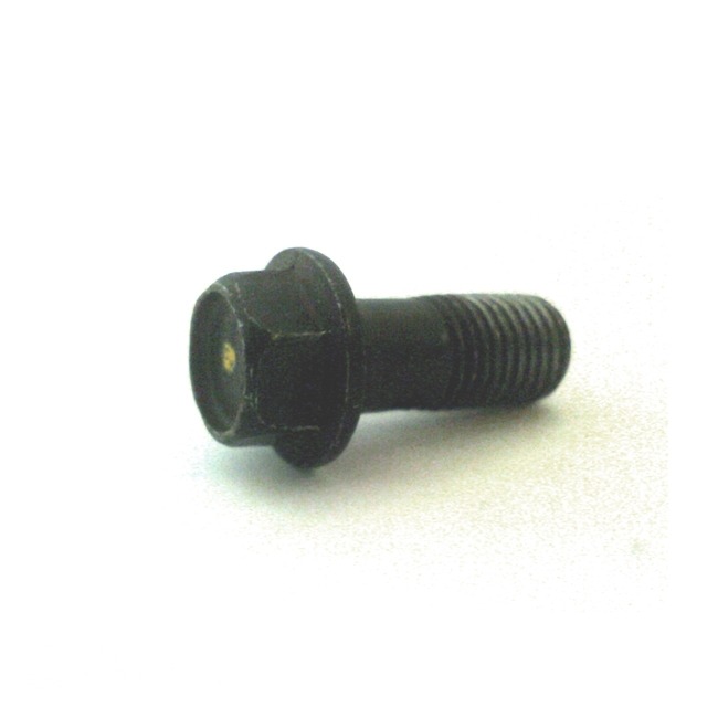 Remslang-Bout M10x1.25 Yamaha 4T ORG
