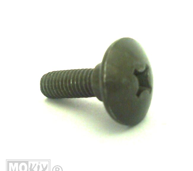 CHI Screw M6x20 FILLY1