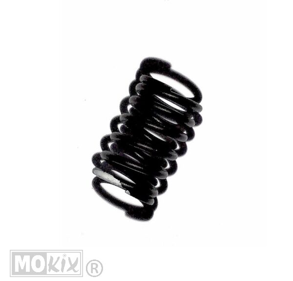 CHI Valve O.Spring 4T GY6 125cc - Giantco