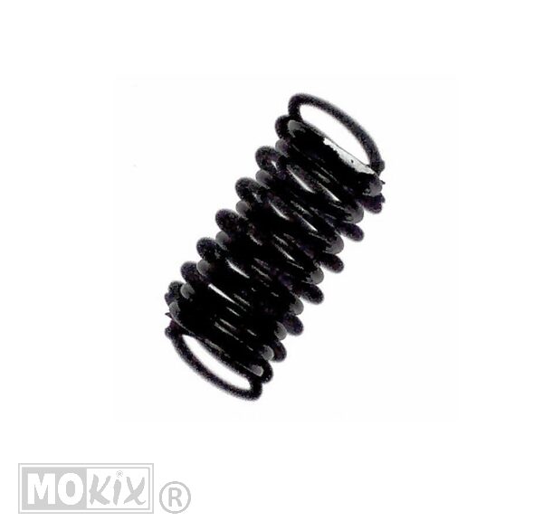 CHI Valve IN.Spring 4T GY6 125cc - Giantco