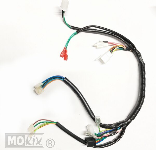 Kabelboom Djjd Cashmere 50CC EFI Euro 4