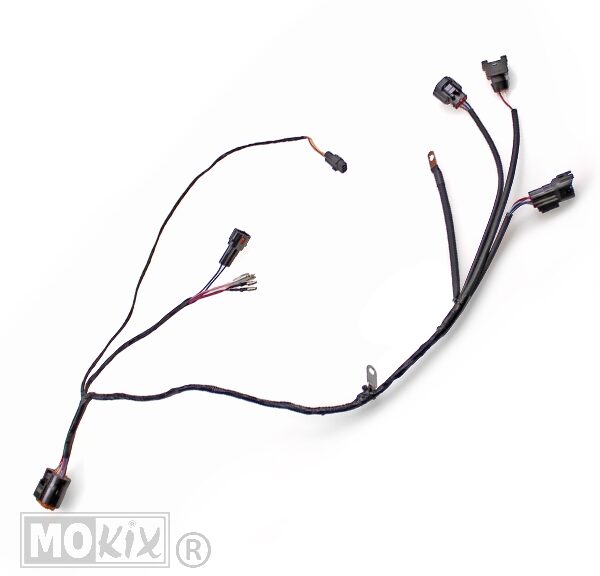 Kabelboom ECU Djjd Cashmere Euro 4