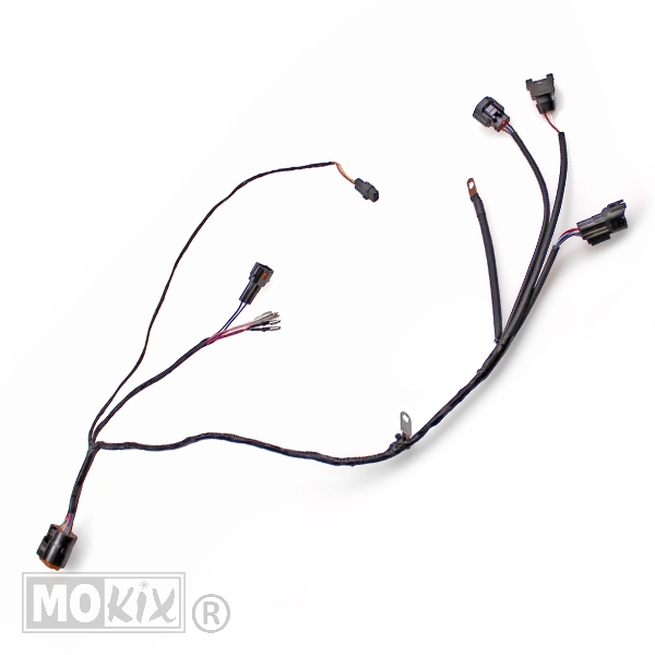 Kabelboom ECU Djjd Cashmere Euro 4