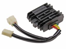 Regulator Djjd Cashmere 50CC EFI E4 AC
