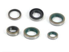 Keerringset Zundapp 4V/5V (6 Delig) TW