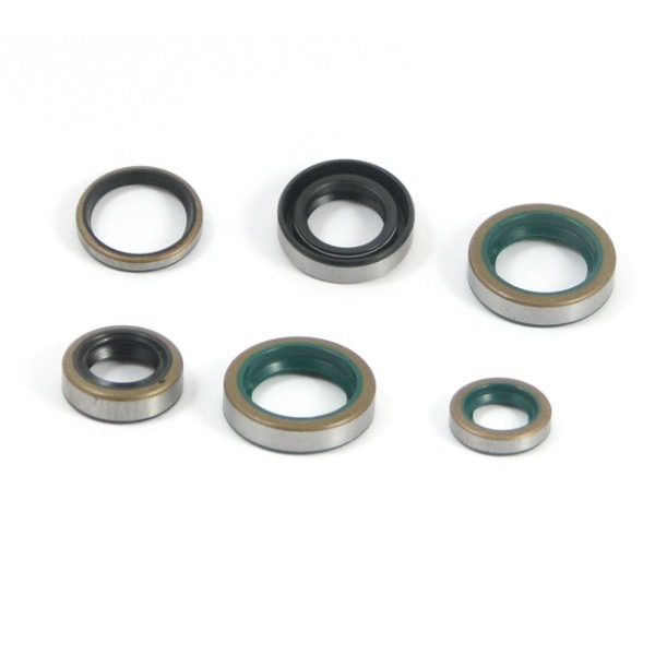 Keerringset Zundapp 4V/5V (6 Delig) TW