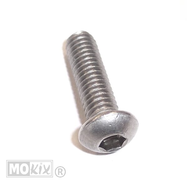 Remschijfinbusbout M6x20 Bolkop (1) - Bollard