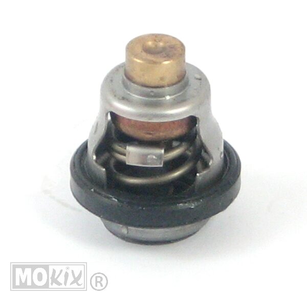 Thermostaat Yamaha NEO'S 4T ORG