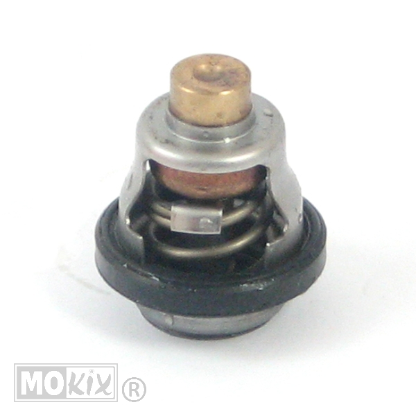 Thermostaat Yamaha NEO'S 4T ORG
