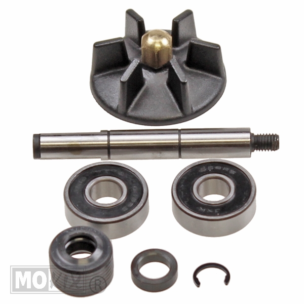 Waterpomp-Revisie SET Piaggio 2T 50cc SP