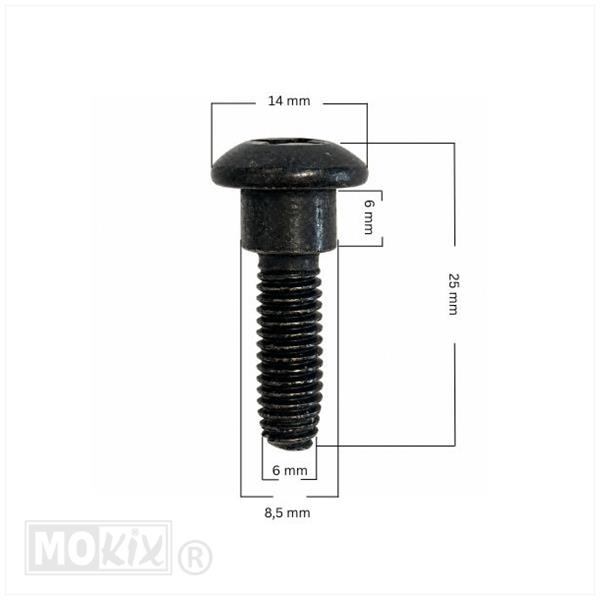 Borstschroef M6x21 (8x5) Zwart (1)