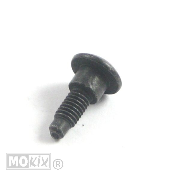 Borstschroef M6x21 (8x5) Zwart (1)