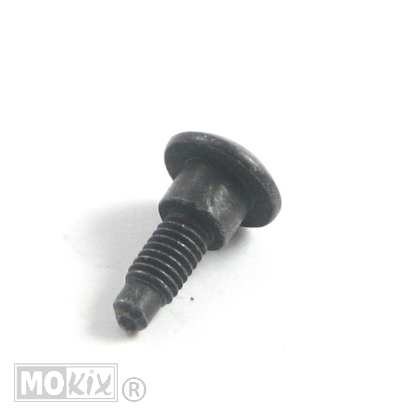 Borstschroef M6x21 (8x5) Zwart (1)