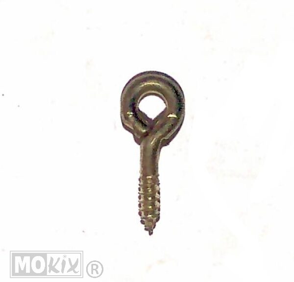 60843 SOLEX BEVESTIGINGS SCHROEF BOUGIE