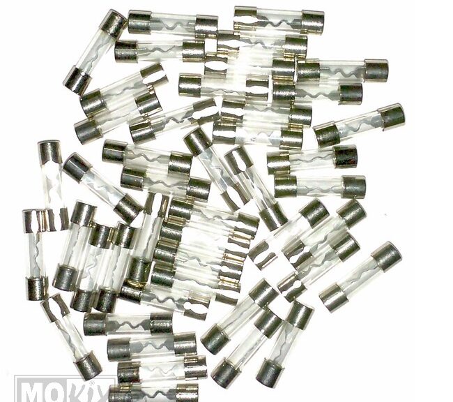 Zekeringen Glas 10ampere 25mm (100)