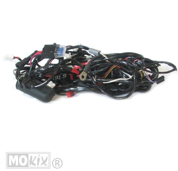 Kabelboom Piaggio LX50 4T 4V Compleet ORG