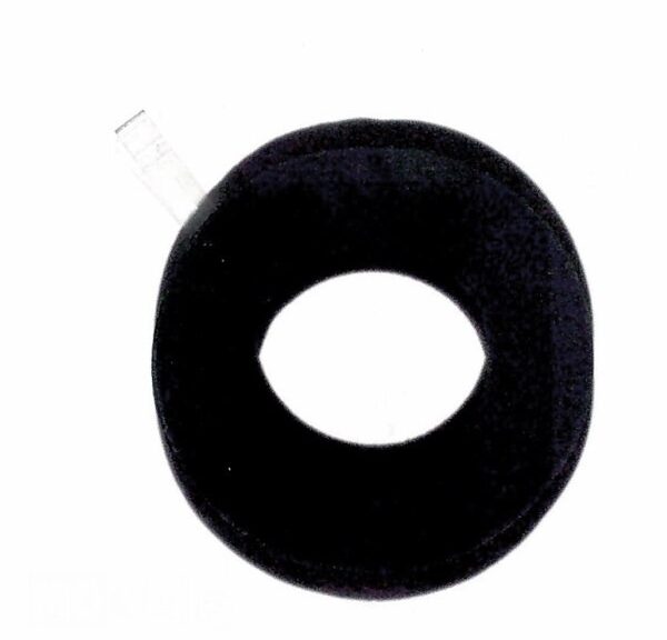 SYM Fiddle 2 Inner BOX Sponge