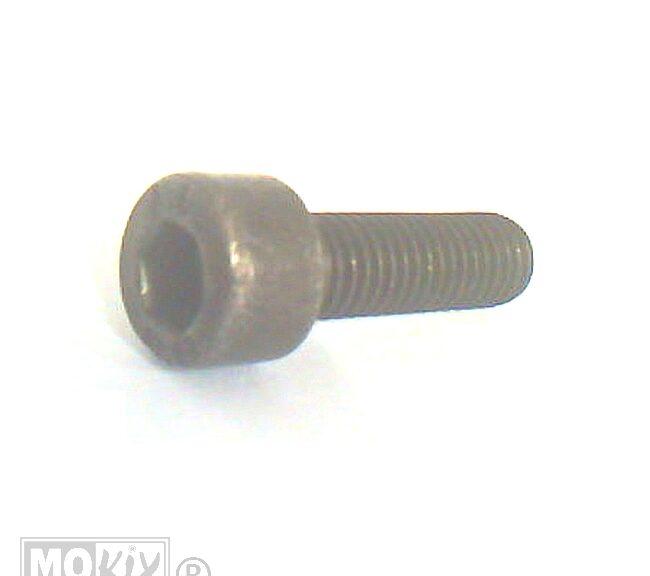 PEU Schroef CHC M8x1.25-25 - Peugeot