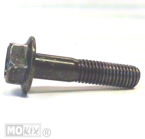 PEU Schroef HM 10x1.50-45 - Peugeot