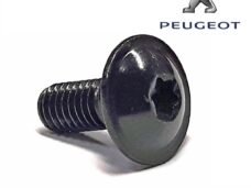 PEU Schroef M6x1.00-16 - Peugeot