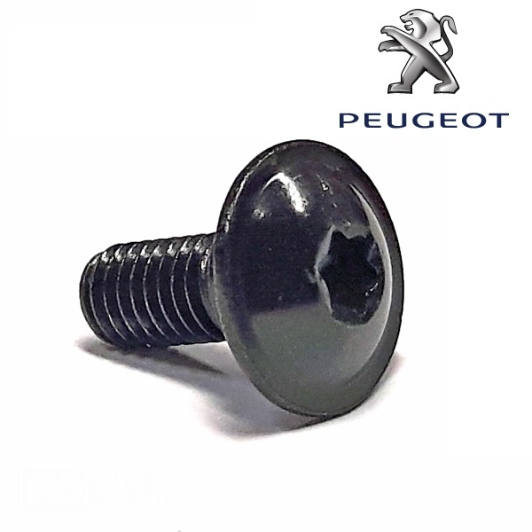 PEU Schroef M6x1.00-16 - Peugeot