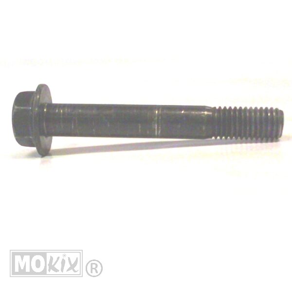 778520 PEUGEOT KISBEE SCHROEF 10x1.5-70