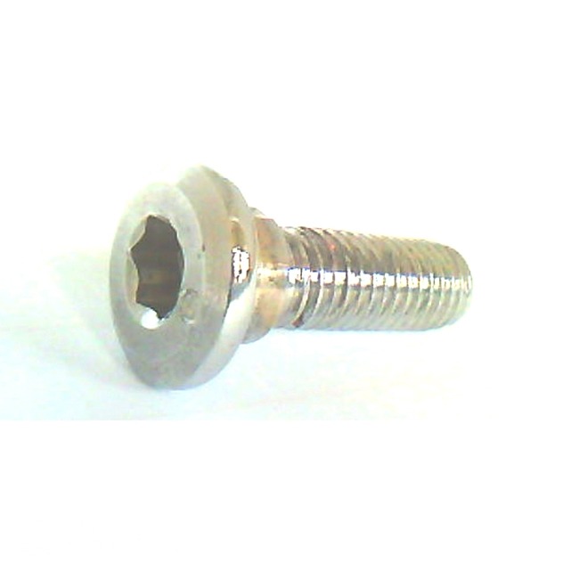 PEU Tweet Schroef M8x25 - Peugeot