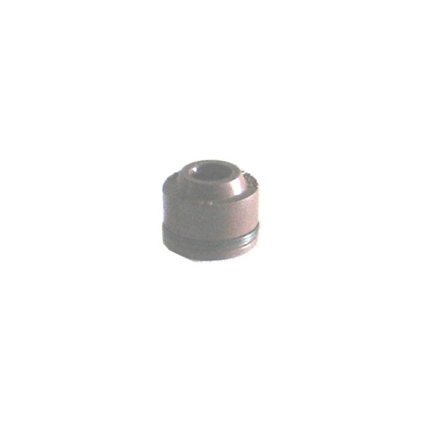 Klepseal SYM MIO Peugeot 4T NT ORG (1)