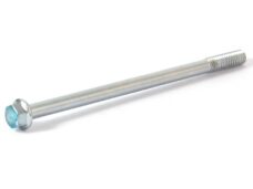 PEU Schroef Tweet 6x1.00-100 - Peugeot