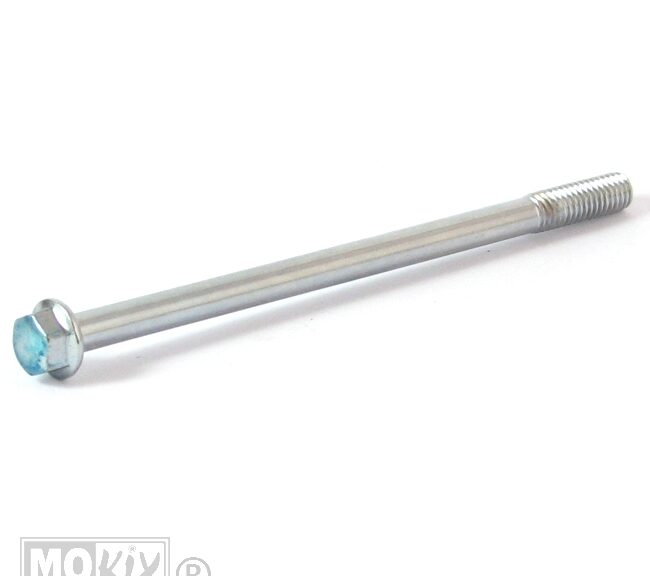 PEU Schroef Tweet 6x1.00-100 - Peugeot