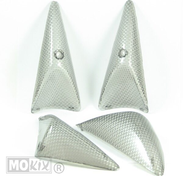 RAW-BOL Glas Peugeot Speedfight SET Carbon