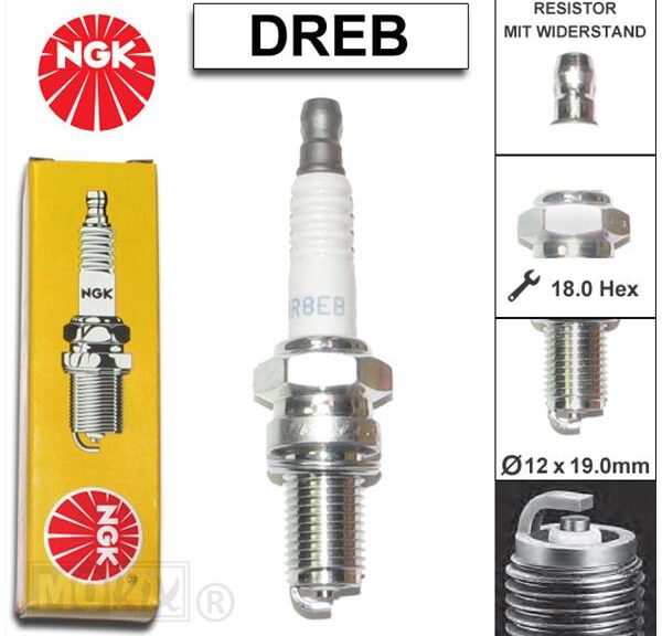 Bougie NGK DR 8EB (1)