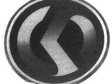 SYM Symphony S-Logo Sticker (Poly) 40mm ORG