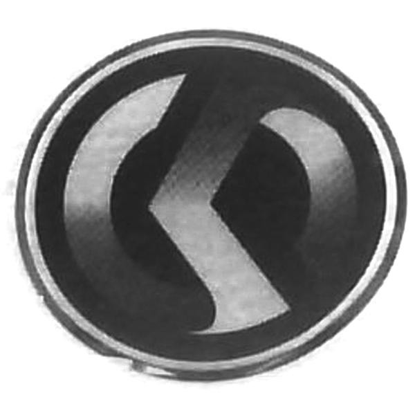 SYM Symphony S-Logo Sticker (Poly) 40mm ORG
