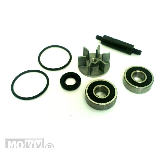 Waterpomp-Revisie SET Derbi Predator