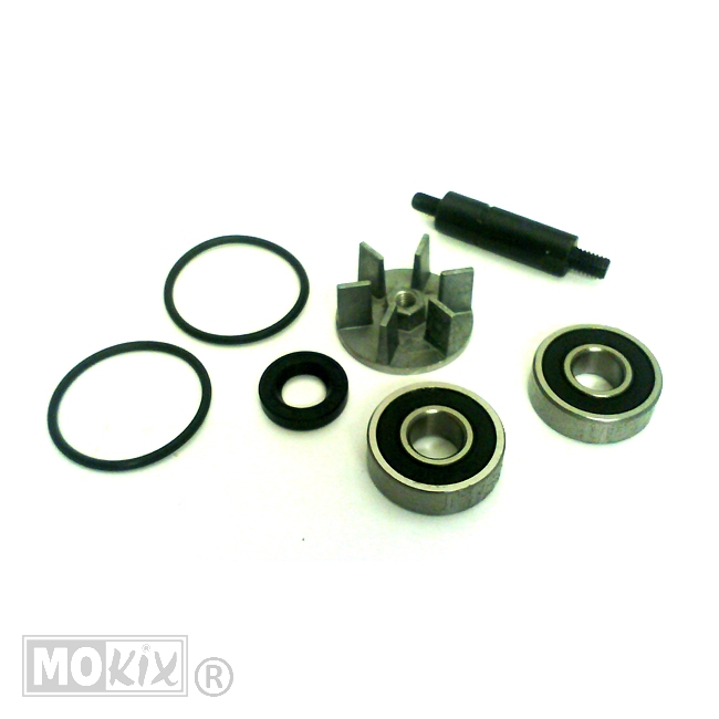 Waterpomp-Revisie SET Derbi Predator