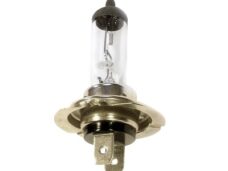 Lamp PX26D H7 12V 55W (1) - Bollard