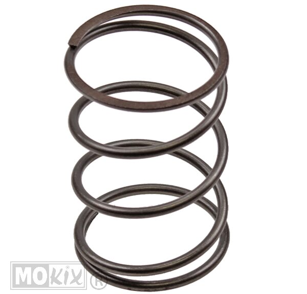 Muelle de presión del embrague China 4T GY6 50cc (57.5 mm) STD