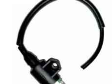Bobine China 2T CPI Generic Keeway