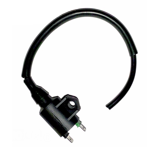 Bobine China 2T CPI Generic Keeway