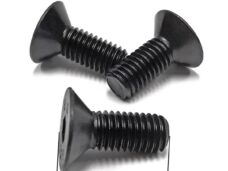 Remschijf Verzonken-Bout M8x20mm Zwart (3) - Bollard