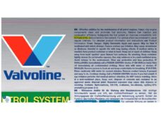 Petrol Systeem Protector Valvoline 300ml