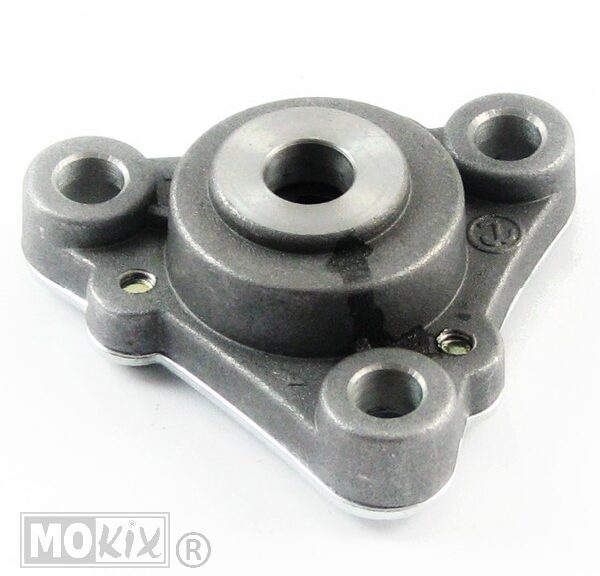 89161 OLIEPOMP CHINA GY6 4T 50 22T 139QMB/QMA