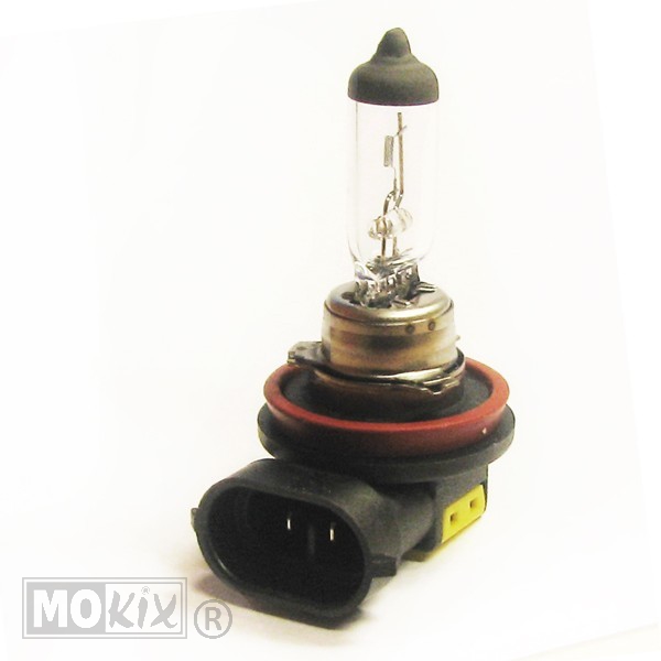 Lamp H8 12V 35W Halogeen CE (1) - Bollard