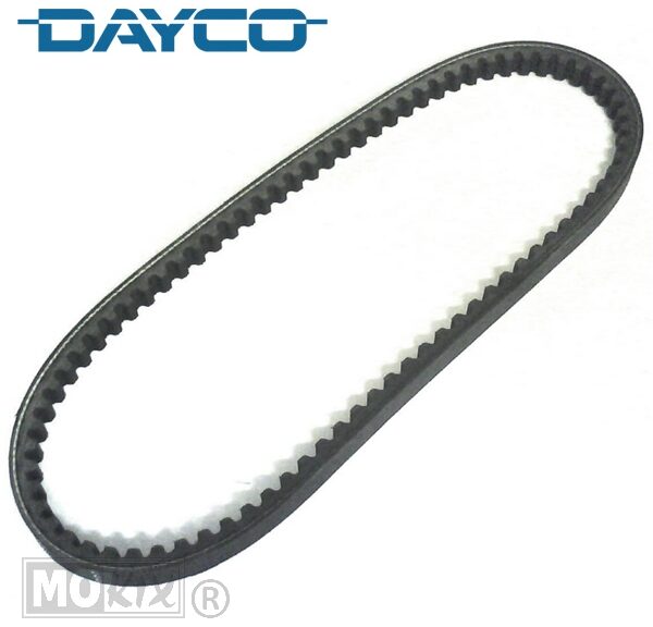 V-Snaar Dayco 16.5x 664 Morini/Suzuki