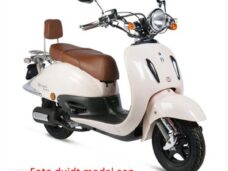 Buddy DEK China Grand Retro Zwart Xtreme