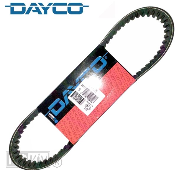 91154 V-SNAAR DAYCO 16.5x 757 MINARELLI LANG 107