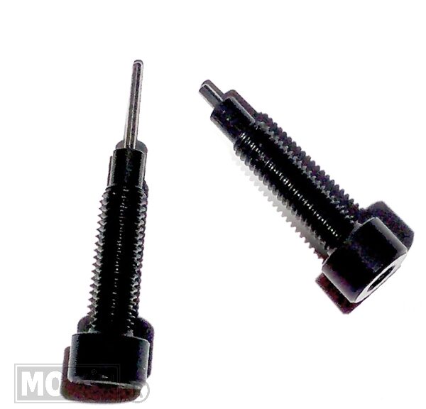 DE/Montage Gereeds. Vervangings Stift (91377) 2st - Buzzetti
