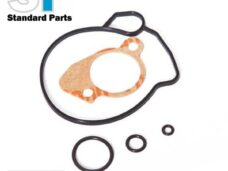 Pakking SET PIA Hexagon LX 125 SKR VM20 SP