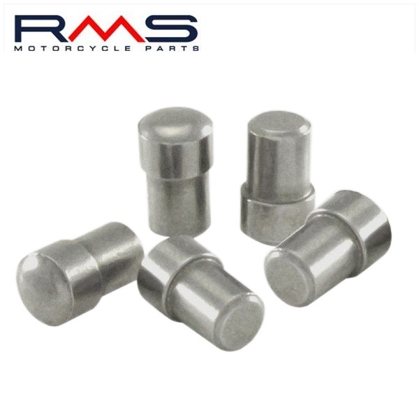 Geleiderpen Acher Poelie Piaggio/Aprilia (5) RMS